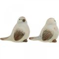 Floristik24 Ceramic birds, spring, decorative birds white, brown H7/7.5cm 6pcs