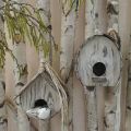 Floristik24 Decorative Bird House Wooden Decorative Nesting Box with Natural Bark White Washed H23cm W25cm