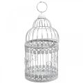 Floristik24 Birdcage for hanging, decorative aviary, metal decoration, shabby chic white Ø12.5cm H25cm