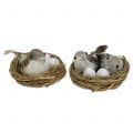 Floristik24 Bird&#39;s nest with eggs and bird 6pcs
