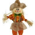 Floristik24 Decorative scarecrows on a stick 38cm 8pcs