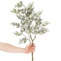 Artificial Juniper Branch – Decorative Faux Stem for Vases and Arrangements 86cm | Floristik24.co.uk