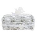 Floristik24 Wax glass in white tray white set