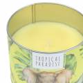 Floristik24 Scented candle in the box rainforest yellow Ø9.5cm H8cm