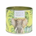 Floristik24 Scented candle in the box rainforest yellow Ø9.5cm H8cm
