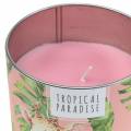 Floristik24 Scented candle in the can rainforest pink Ø9.5cm H8cm