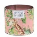 Floristik24 Scented candle in the can rainforest pink Ø9.5cm H8cm