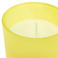 Floristik24 Scented candle in a lemon-basil glass Ø7cm