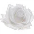 Floristik24 Wax rose white Ø10cm Waxed artificial flower 6pcs