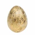 Floristik24 Quail egg as decoration empty gold 3cm 50pcs