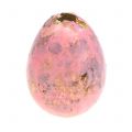 Floristik24 Quail eggs light pink 3cm blown eggs spring decoration 50pcs