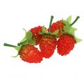 Floristik24 Wild strawberries 3.5cm 24pcs