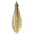 Floristik24 Christmas decoration for hanging, deco feathers gold 12.5cm 16pcs