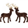 Floristik24 Christmas decoration deer to place brown, gold 20cm 2pcs