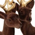 Floristik24 Christmas decoration deer to place brown, gold 20cm 2pcs