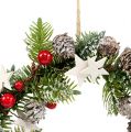Floristik24 Christmas wreath with cones, berries Ø20cm 2pcs