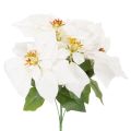 Floristik24 Artificial White Poinsettia Flower Stem 40cm
