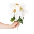 Artificial White Poinsettia Flower Stem 40cm | Floristik24.co.uk