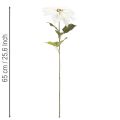 Artificial white poinsettia, large flowering branch decoration, 65cm, 2 pieces | Floristik24.co.uk