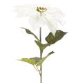 Artificial white poinsettia, large flowering branch decoration, 65cm, 2 pieces | Floristik24.co.uk