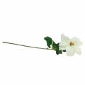 Poinsettia artificial flower white 67cm | Floristik24.co.uk
