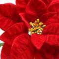 Floristik24 Poinsettia artificial flower red 67cm
