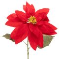 Floristik24 Artificial Red Poinsettia Single Stem 82cm Christmas Decoration