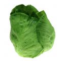 Iceberg lettuce Artificially Real-Touch Ø12cm | Floristik24.co.uk