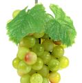Floristik24 Grapes with leaf light green 22cm