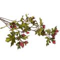 Artificial Hawthorn Branch with Red Berries Decoration 110cm | Floristik24.co.uk