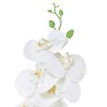 Floristik24 White Artificial Orchid Phalaenopsis Real Touch H83cm
