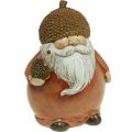 Floristik24 Imp figure with acorn and hedgehog decorative figure autumn brown H19cm