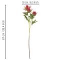 Artificial Red Thistle Stem 67cm Decorative Branch Set of 3 | Floristik24.co.uk