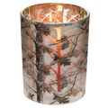 Glass Lantern with Winter