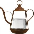 Floristik24 Lantern metal glass teapot patina decoration Ø15cm H26cm