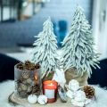 Floristik24 Winter fir in a pot, Christmas decoration, fir tree with snow H45cm