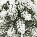 Winter decoration Christmas tree in green white Ø7cm H14cm 4pcs | Floristik24.co.uk