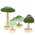 Floristik24 Decorative mushroom wood / felt green 8cm - 15cm 4pcs