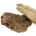 Floristik24 Root wood pieces natural 500g
