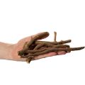 Natural Dried Decorative Wooden Branches 18cm 500g | Floristik24.co.uk