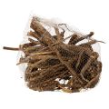 Natural Dried Decorative