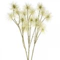 Floristik24 Xanthium artificial flower cream autumn decoration 6 blossoms 80cm 3pcs
