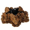 Floristik24 Natural Pinecone Star-Shaped Planter 30cm