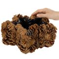 Natural Pinecone Star-Shaped Planter 30cm | Floristik24.co.uk
