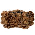 Natural Pinecone Star-Shaped