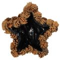 Natural Pinecone Star-Shaped