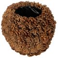 Floristik24 Dekorative Planter aus echten Tannenzapfen, rund, 27 cm, naturbraun
