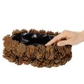 Pinecone Planter Oval 30cm in Natural Brown | Floristik24.co.uk