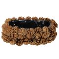 Pinecone Planter Oval 30cm in