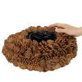 Round Pinecone Planter, 38cm Diameter, Natural Brown | Floristik24.co.uk